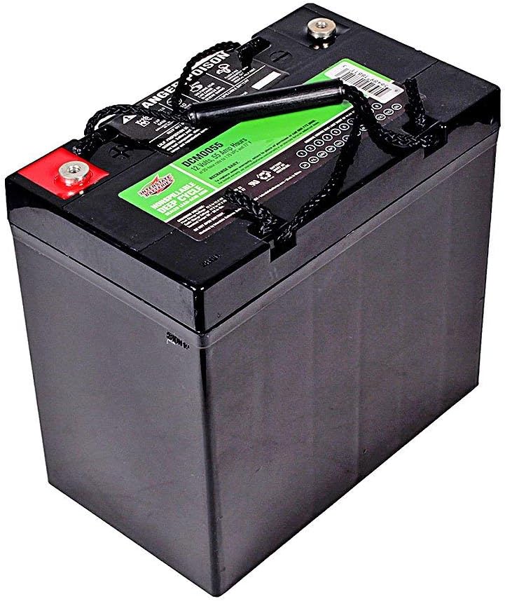 Interstate Batteries 12V 55Ah Deep Cycle Battery (DCM0055) Sealed Lead Acid Rechargeable SLA AGM (Insert Terminals) Wheelchairs, Scooters, ATVs, Solar Power