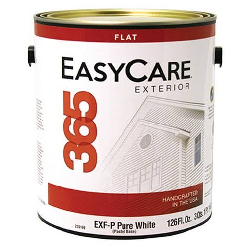 Exfp Gal Past EXT Paint, 4 Pack, True Value, EXFP-GL
