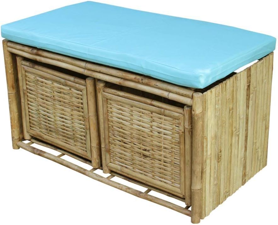 Statra L134N Bench/Ottoman/Trunk/Shoerack With 2 Drawers Teal