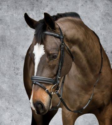 Dover Saddlery Crystal Dressage Bridle, 12699008980, Black
