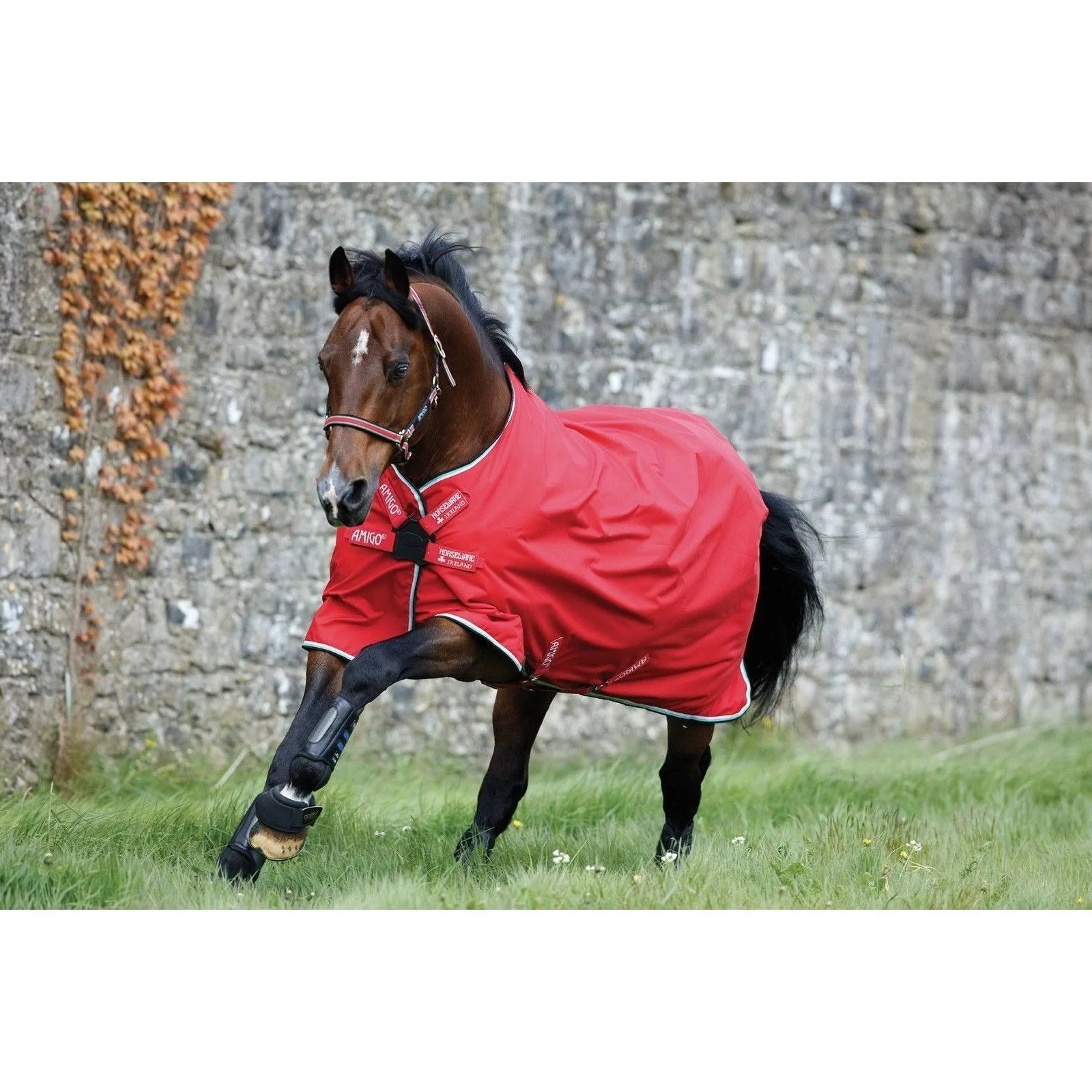 Amigo Hero ACY Turnout Sheet 0g Disc 69 Black/Teal