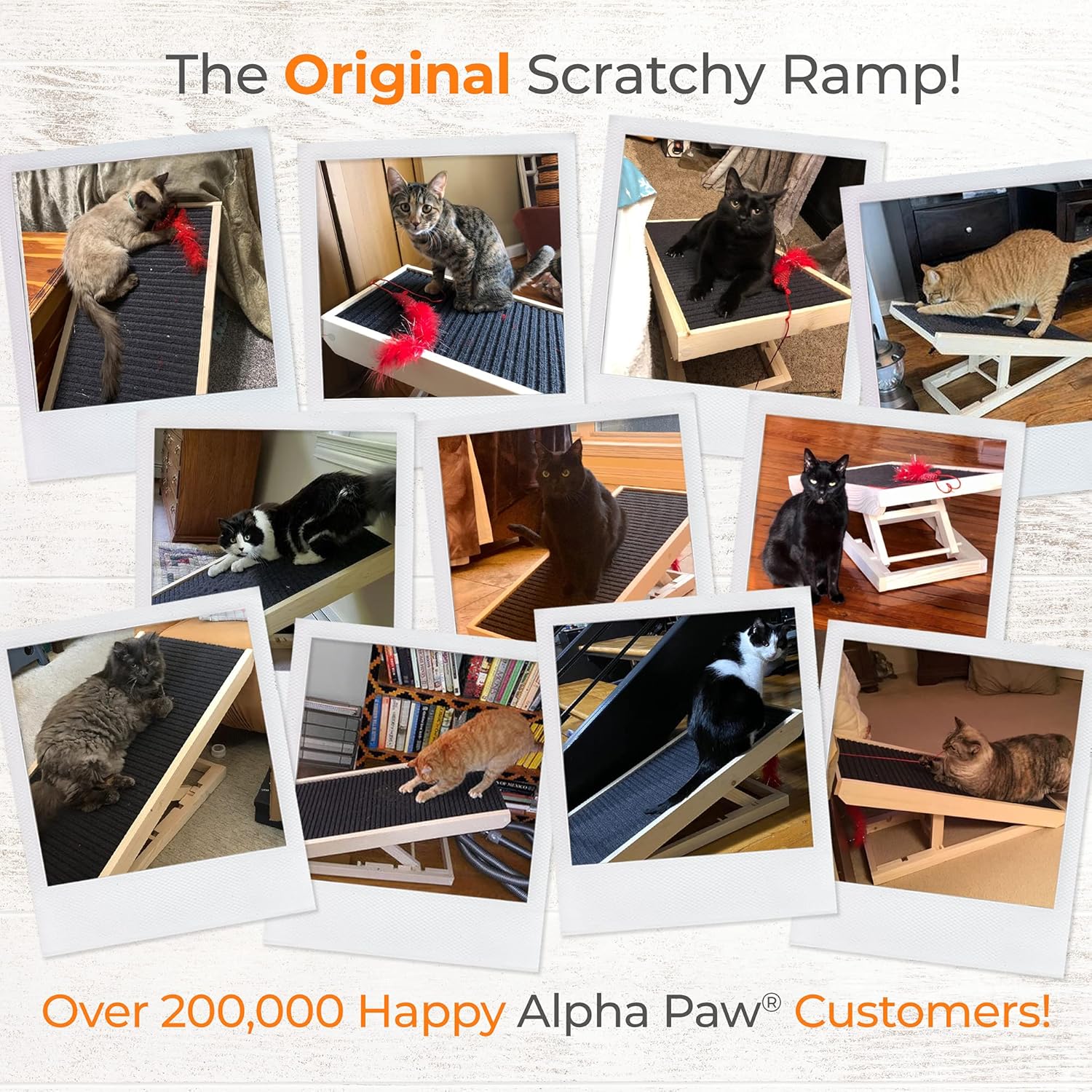 Alpha Paw ScratchyRamp 2-in-1 Cat Ramp & Cat Scratcher - Pet Scratching Incline with Replaceable Carpet & Adjustable Height - Scratch Mat & Mobility Ramp for House Cats & Indoor Dogs