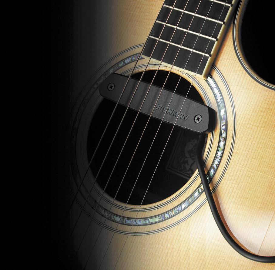 Fishman Neo-D Humbucking Magnetic Soundhole Pickup, Black