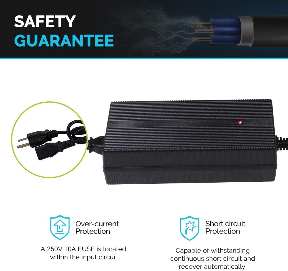 Renogy 12V 20A AC-to-DC Portable Battery Charger Plug-and-Play with 12AWG Alligator Clips for Lithium-iron Phosphate Batteries