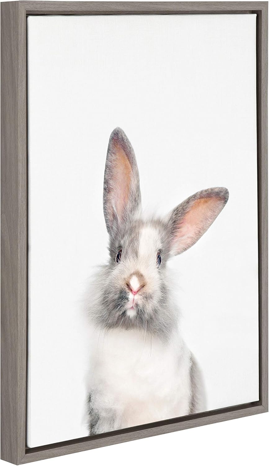 Kate and Laurel Sylvie Young Rabbit Framed Canvas by Amy Peterson, 18x24, Gray Pack of 2