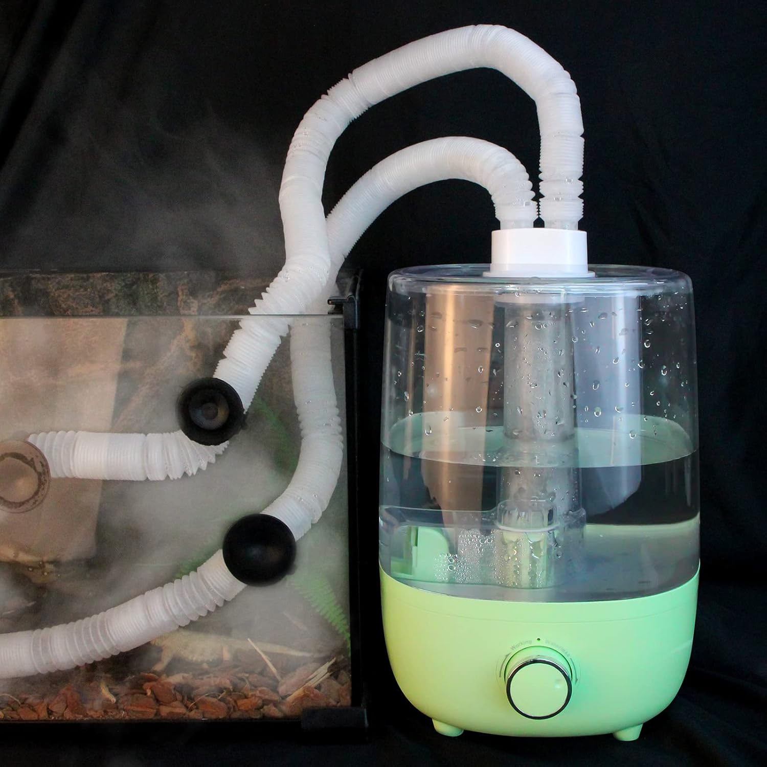 Reptile Humidifier 4L Double Extension Tube 2 in 1 Join for Amphibians and Reptile Fogger with Humidity Control Creating a Rainforest Environment (Green 4L) Pack of 2