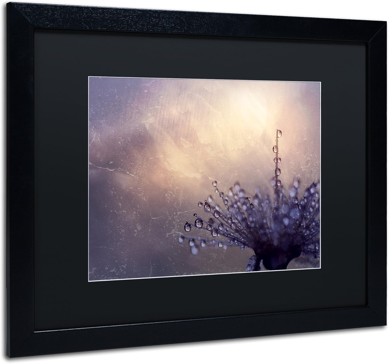 All the Good Wishes by Beata Czyzowska Young Black Matte and Black Frame, 16 by 20-Inch Pack of 2