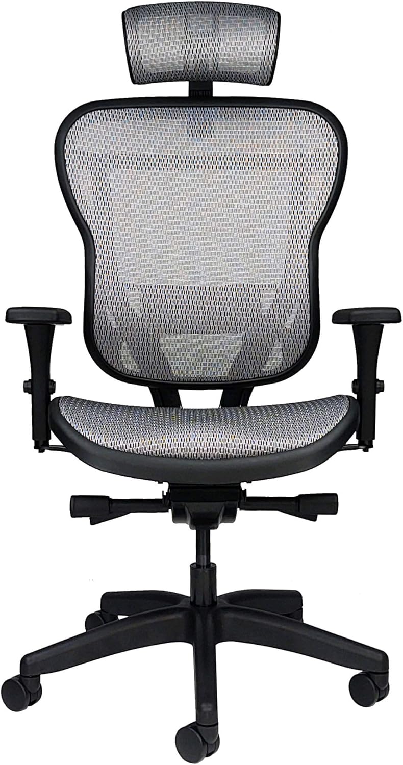Oak Hollow Furniture Aloria Series Office Chair Ergonomic Executive Computer Chair Mesh Seat and Backrest, Adjustable and Comfortable, Lumbar Support Swivel and Tilt (Headrest, Black)
