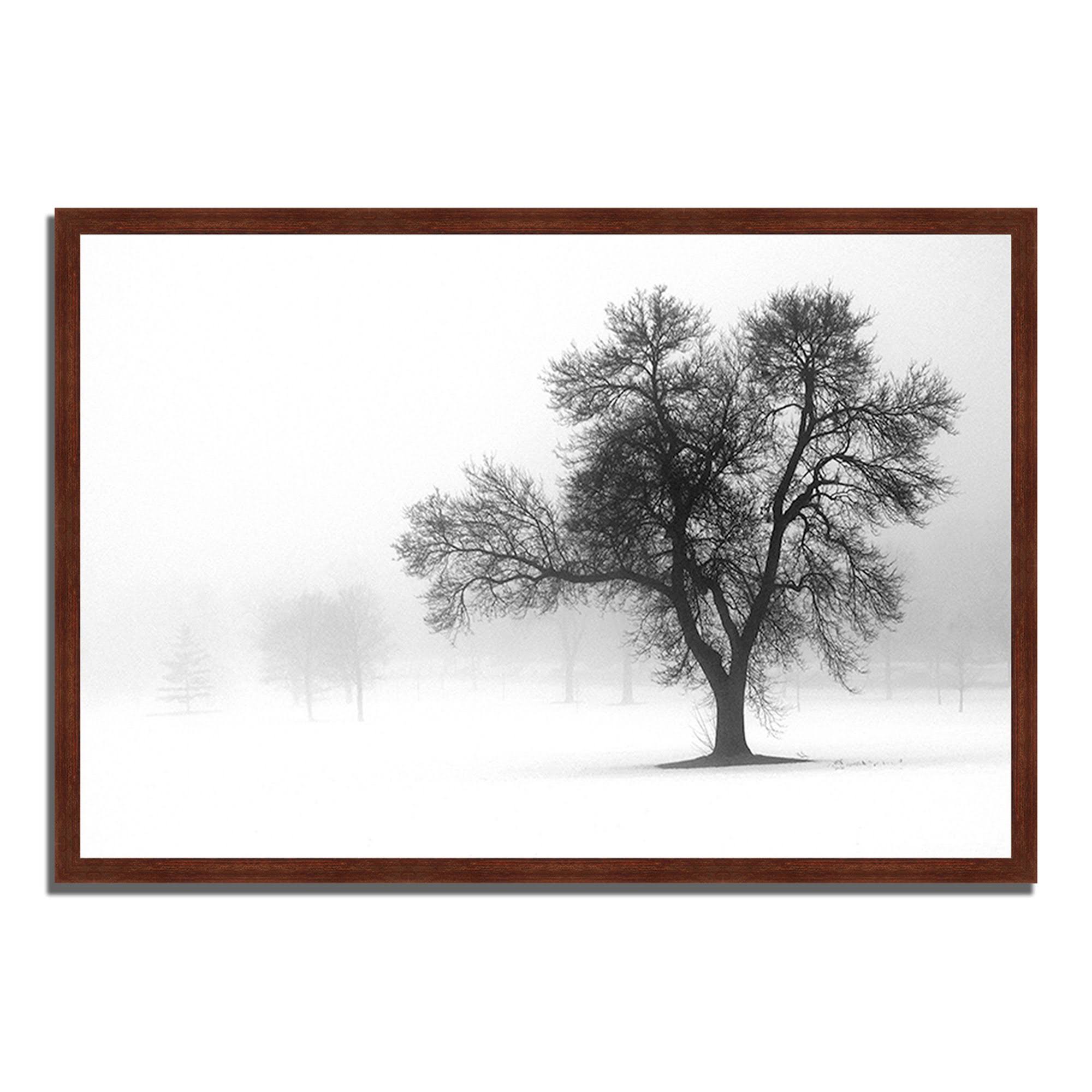 Reaching OutFramed Photograph Print Framed Photograph Print