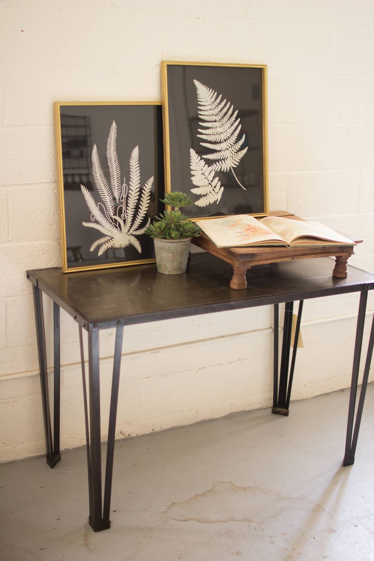 Kalalou CHH1183 Black and White Fern Prints Under Glass (Set of 2)