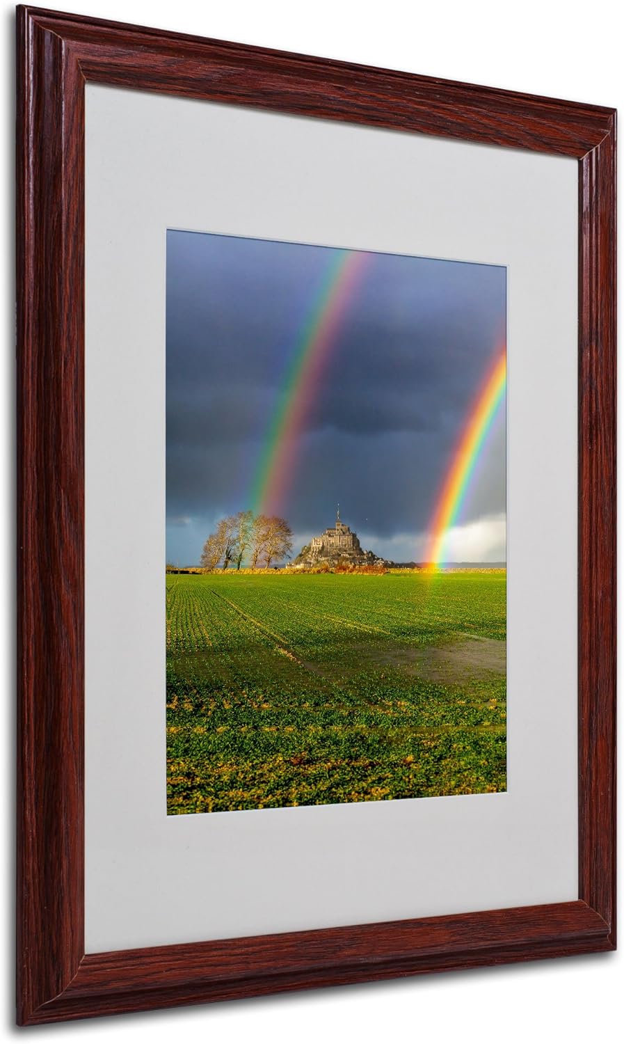 Double Rainbow Artwork by Mathieu Rivrin, 16 by 20-Inch, Wood Frame Pack of 2