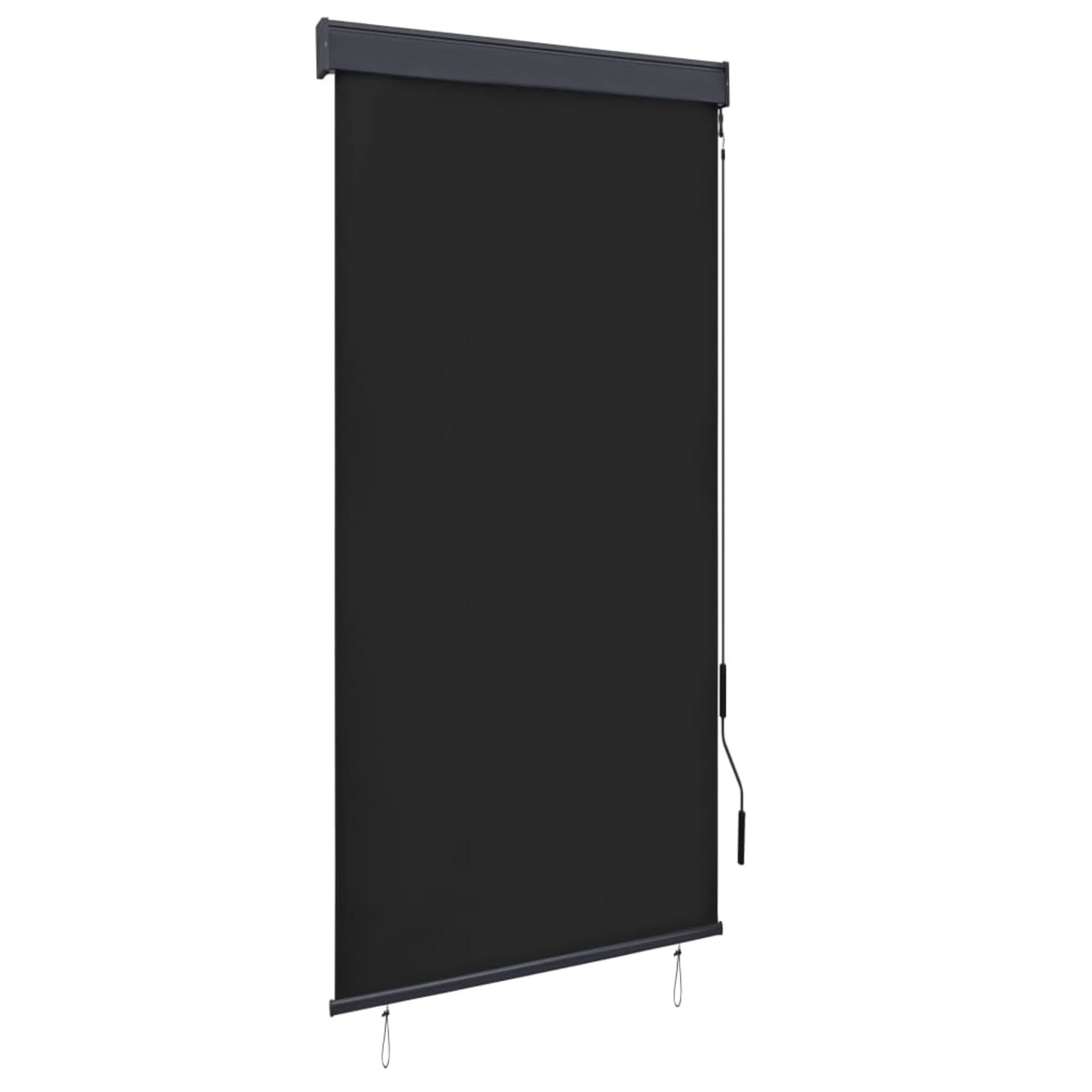 vidaXL Outdoor Roller Blind 39.4x22x98.4x22 Anthracite, 145958