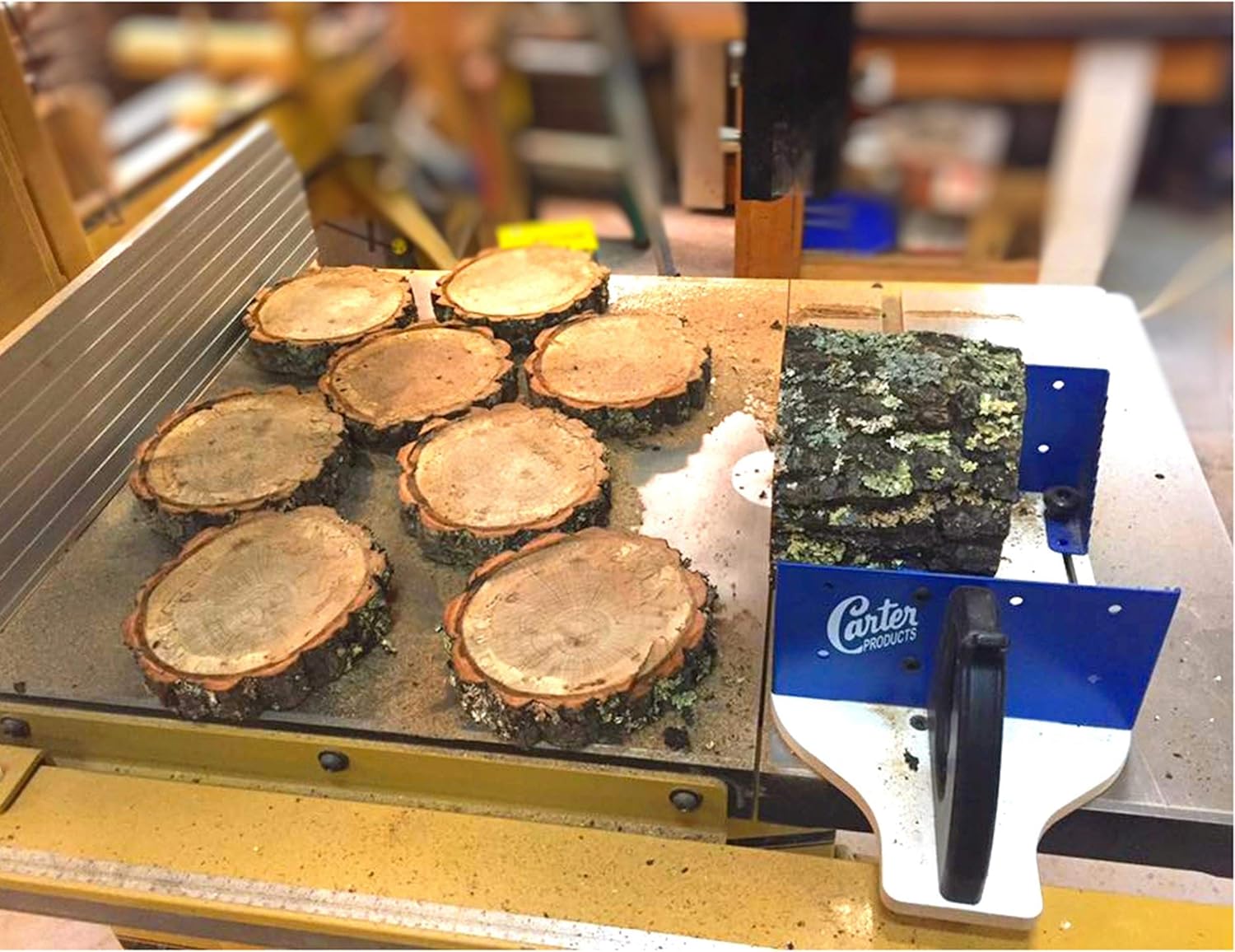 Carter Bandsaw AccuRight Miter Mill