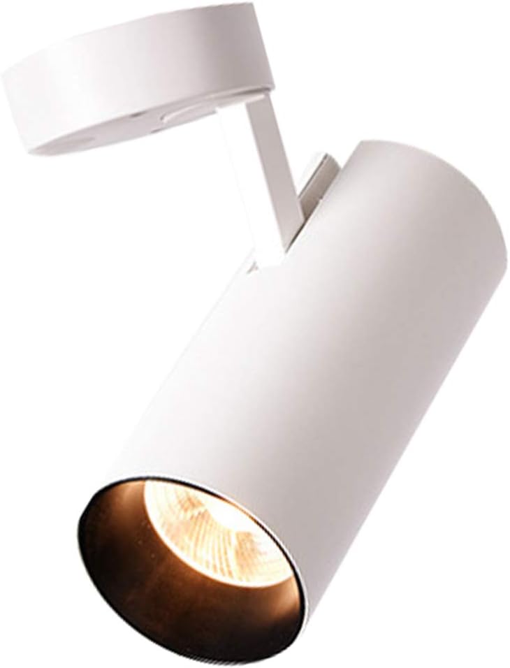 SOLUSTRE Ceiling Spotlight LED Flush Mount Ceiling Light Adjustable Simple Track Lighting Modern Track Lighting for Living Room Dining Office 12W