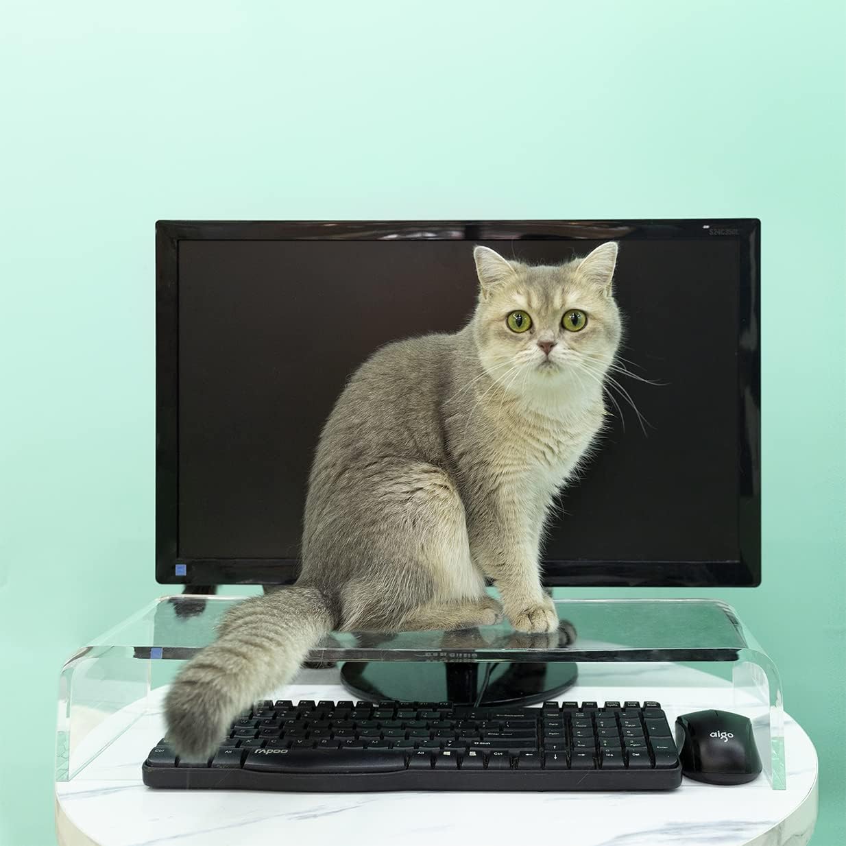 Keyboard Cover Anti-Cat, Clear Plexiglass Keyboard Protector , Effectively Prevent Cat from Touching The Keyboard， Or for Monitor and Laptop Raise Stand(20.8x6.7 in) Pack of 2