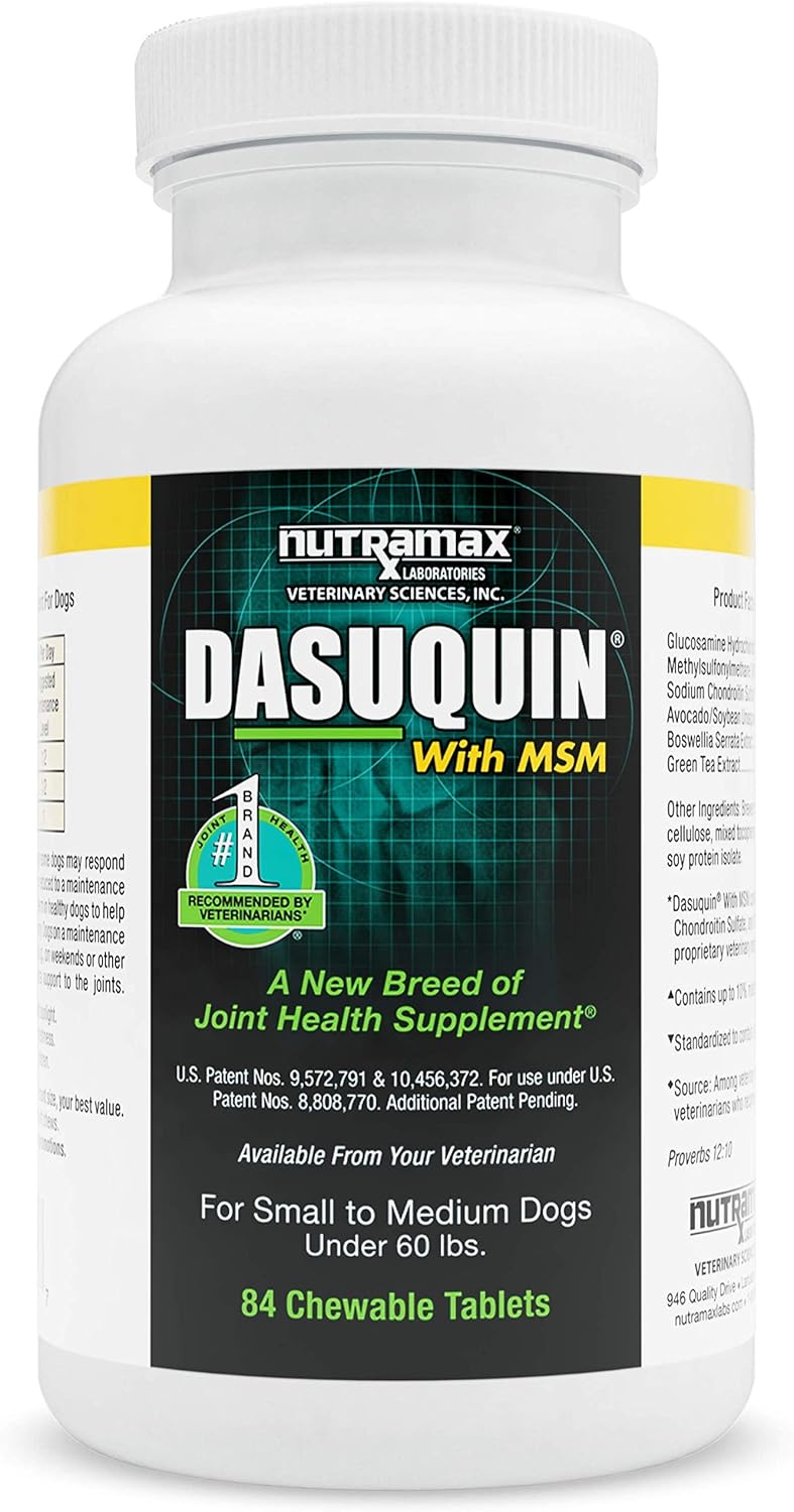 Nutramax Dasuquin with MSM Chewables, Large Dog Pack of 2