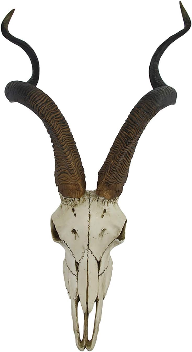 Veronese Design African Kudu Antelope Skull Wall Hanging Cool Twisted Horns Pack of 2