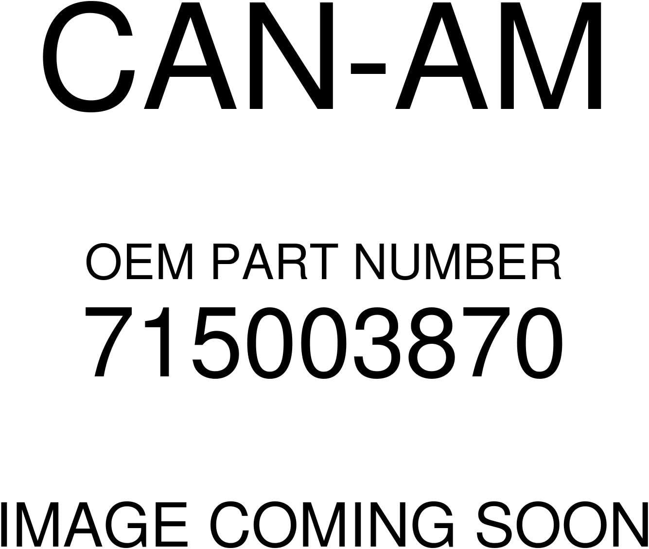 Can-Am Lightweight Roof Rack 715003870 New Oem