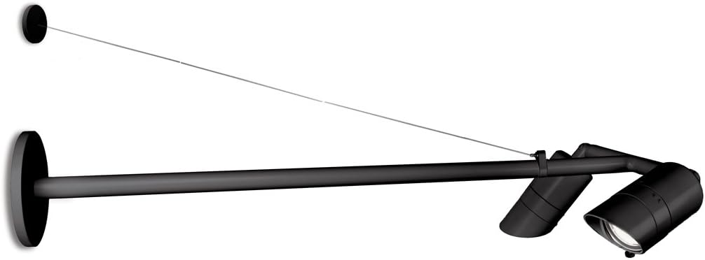 WAC Lighting WP-LED529-40-aWT Endurance LED Double Signage Light in Architectural White Finish 4000K