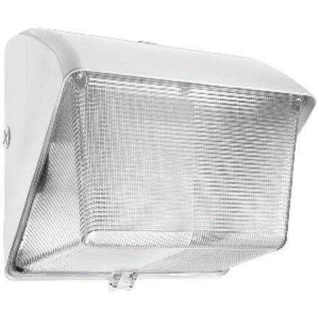 RAB Wallpack 50W High Pressure Sodium 120V NPF Polycarbonate Lens Plus Lamp White (WP1SN50W)