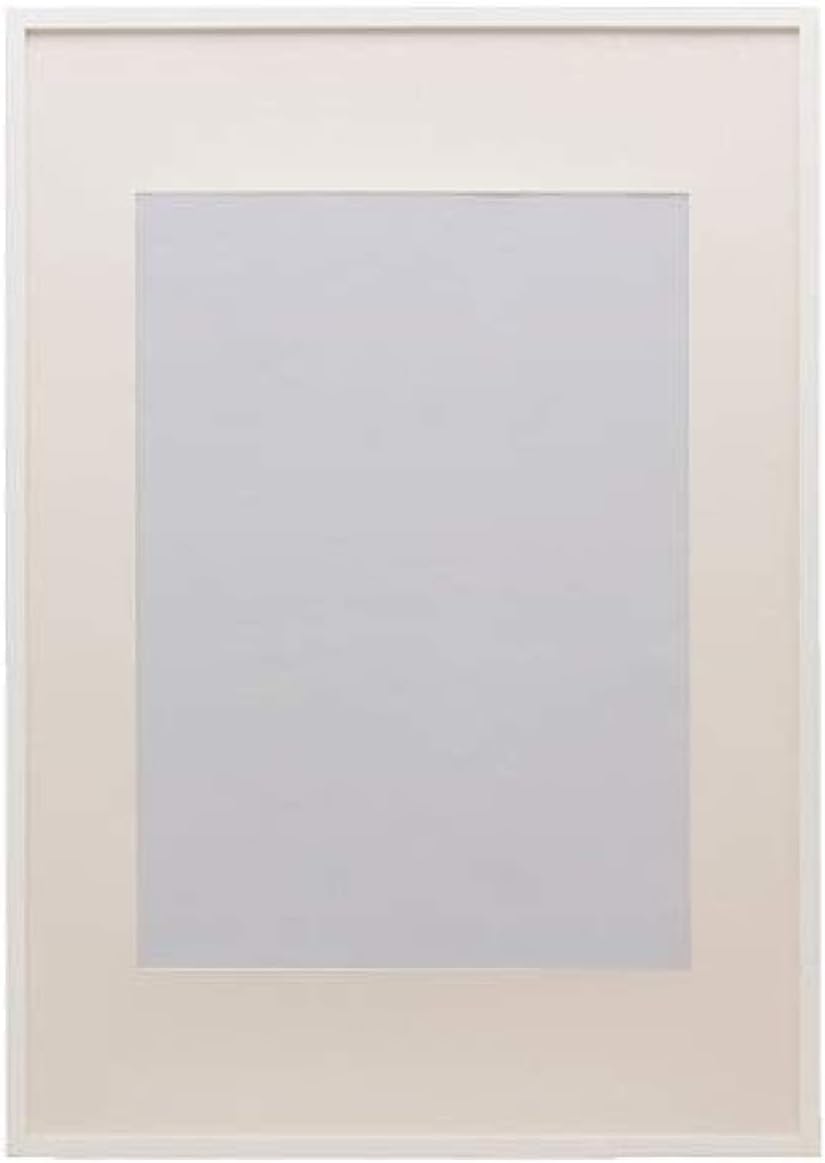 IKEA Ribba Frame White 002.688.76 Size:19 3/4x27 1/2