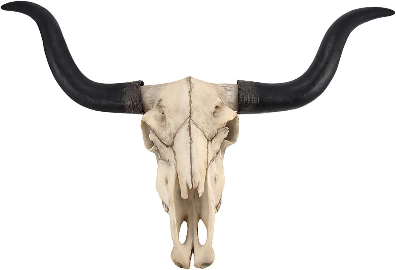 Long Horn Cow Skull Wall Hanging Longhorn Steer Pack of 2