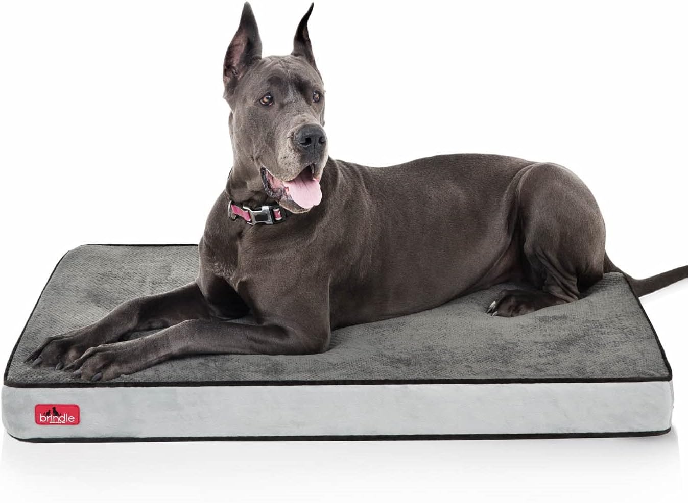 Brindle Waterproof Designer Memory Foam Pet Bed-Removable Machine Washable Cover-4 Inch Orthopedic Pet Bed-Joint Relief