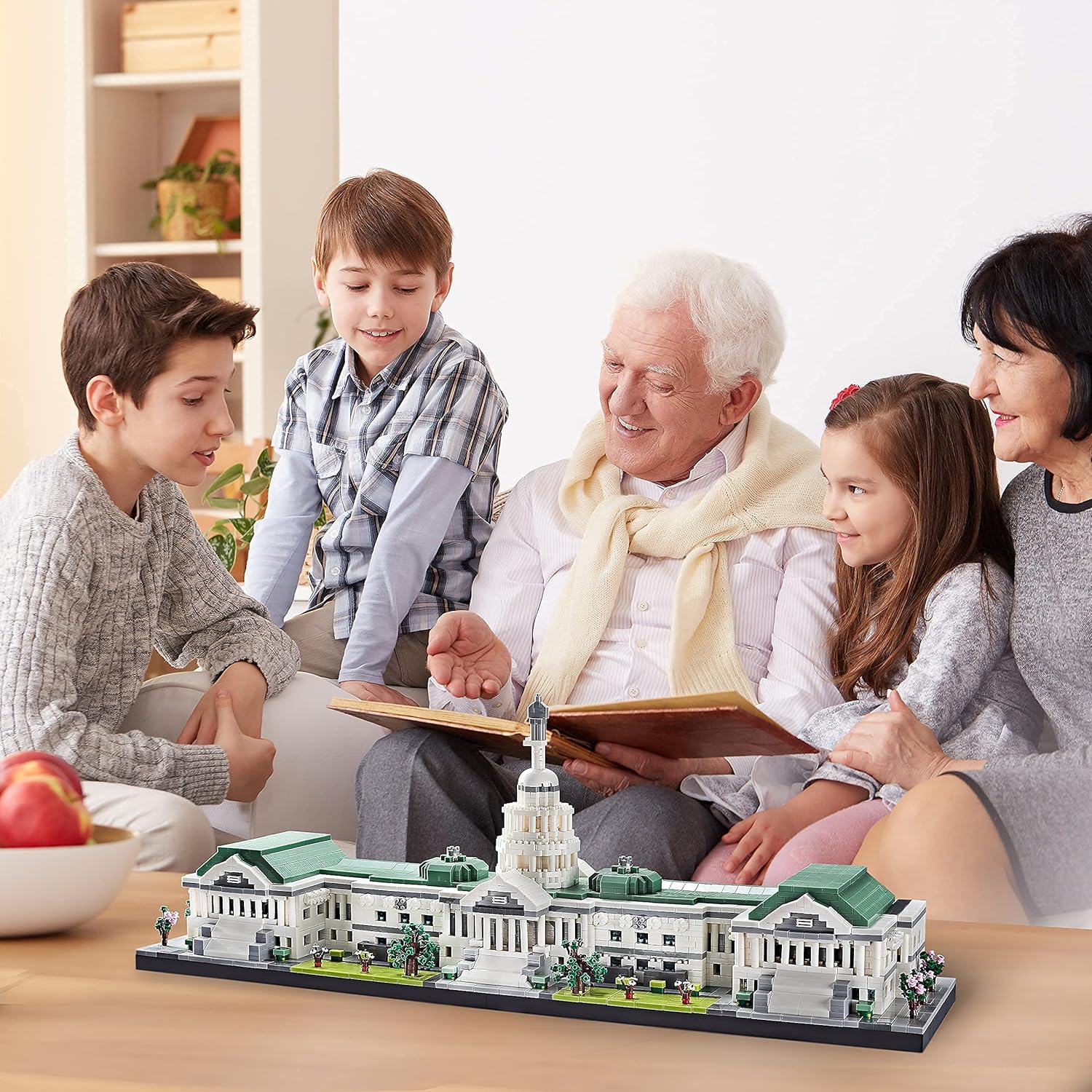 United States Capitol Big Architecture Model Building Kit 3630 Pcs Micro Block Set ，A Great Gift for Adults and Kids（2022 New with Color Package）