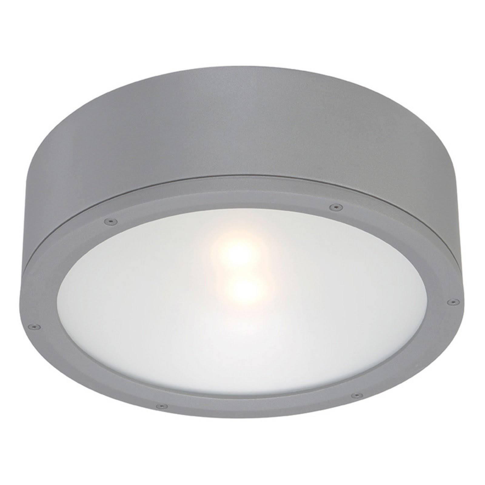 WAC Lighting FM-W2612-GH Tube LED 12 inch Graphite Indoor/Outdoor Flush Mount