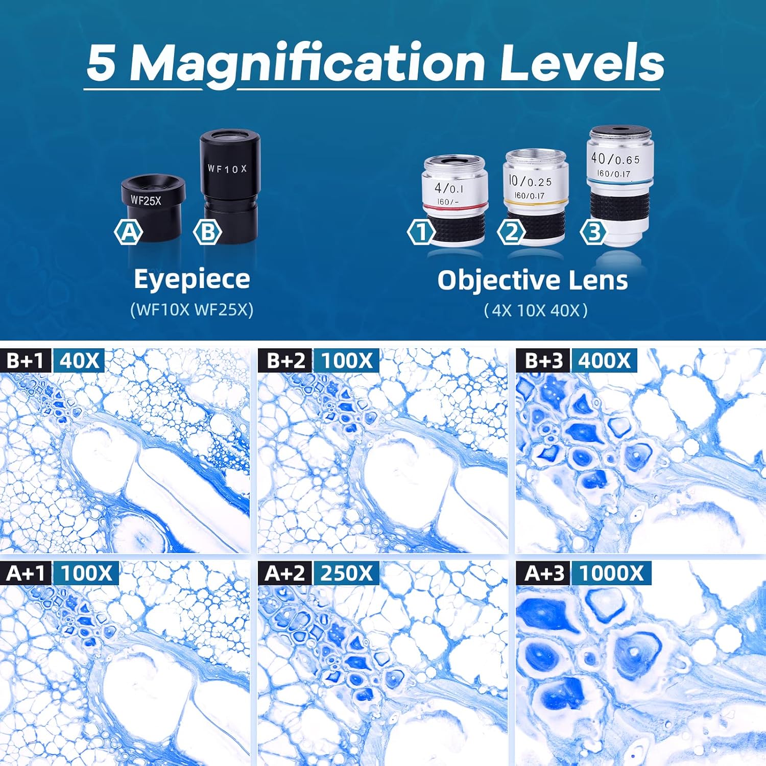 Binocular Microscope for Adults Kids, 40X-1000X Compound Microscope with Carrying Case Microscope Slides Set WF10X & WF25X Eyepiece Phone Adapter for Teaching Lab Applications