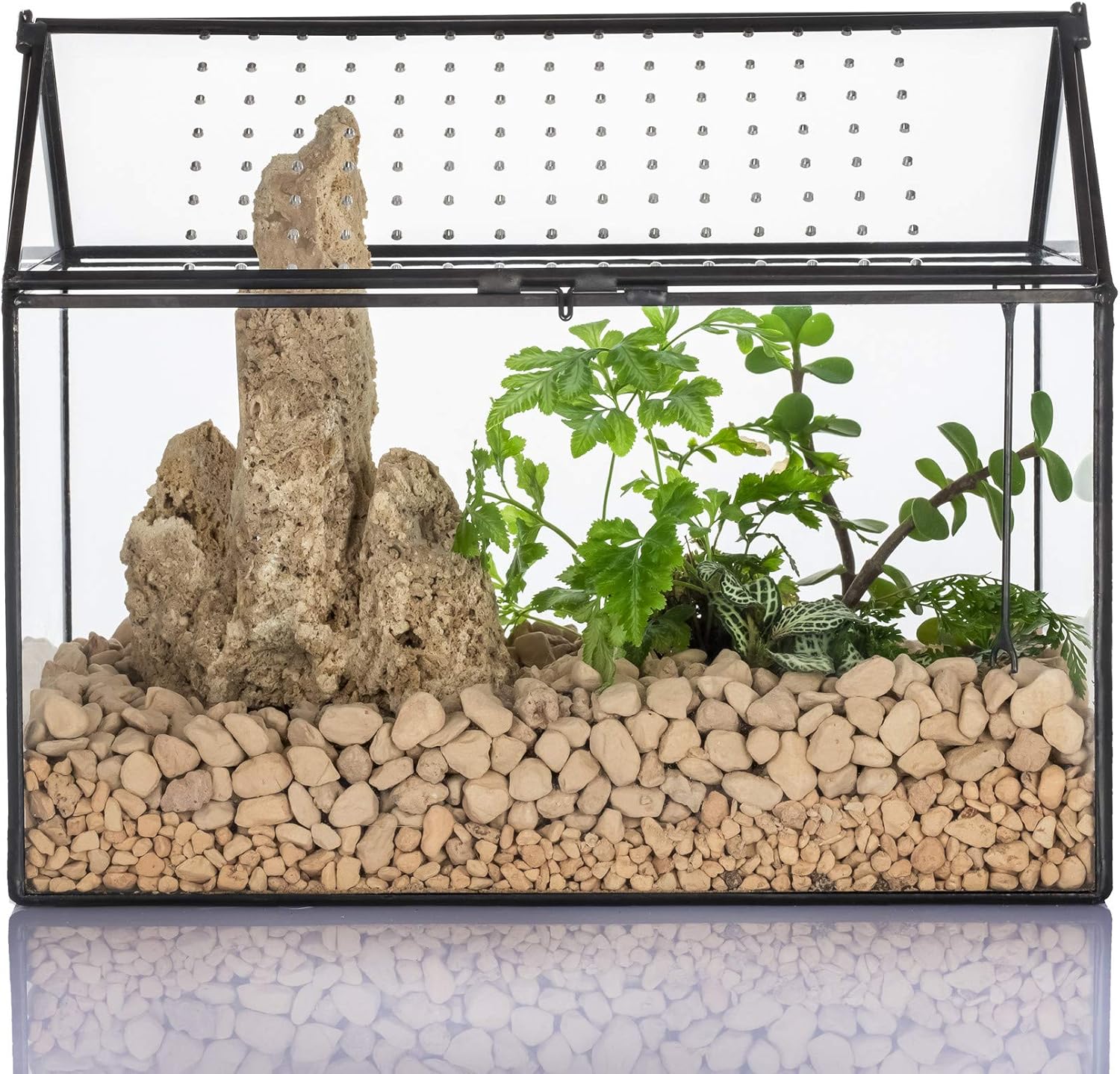 NCYP Handmade Large House Shape Tabletop, Black Geometric Glass Terrariumn Box with Swing Acrylic Lid ( Terrarium Only ) Pack of 2