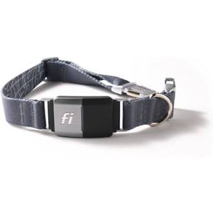 Fi Series 2 Smart Dog Collar - GPS Tracker u0026 Activity Monitor - Large Yellow Dog Collar