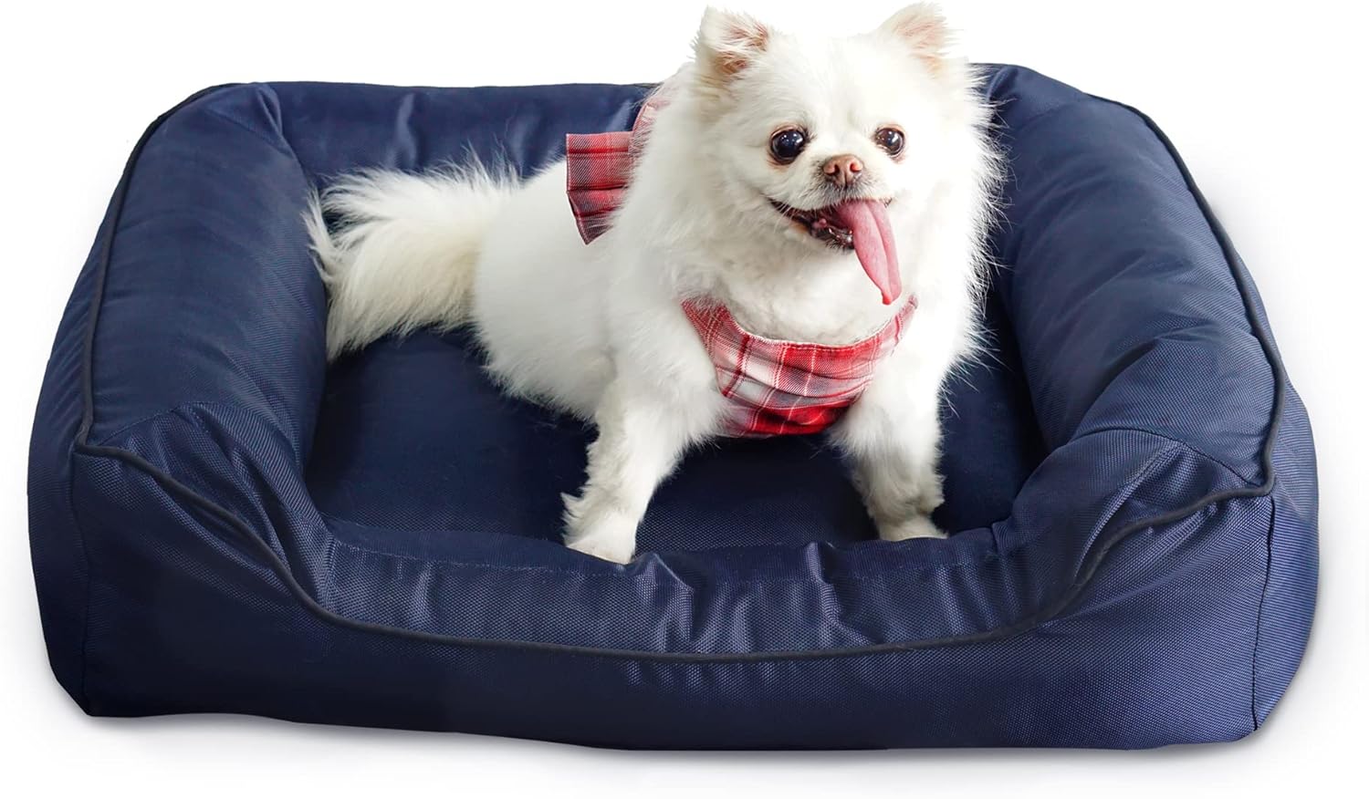 CosiBell Cute Dog Bed for Small and Medium Breeds, Non-Skid Bottom, Plush Cotton Padding, Soft Breathable Surface, Removable and Washable Cover, Durable Oxford Fabric(M,Blue)