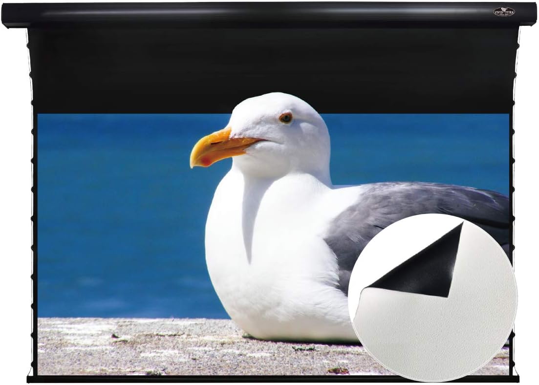 VIVIDSTORM-Slimline Motorized Tension Pull Down Screen Projector Perforated Transparent Acoustically White Cinema,4K/3D Home Cinema,Compatible with Standard Projector,VMSLPW120H