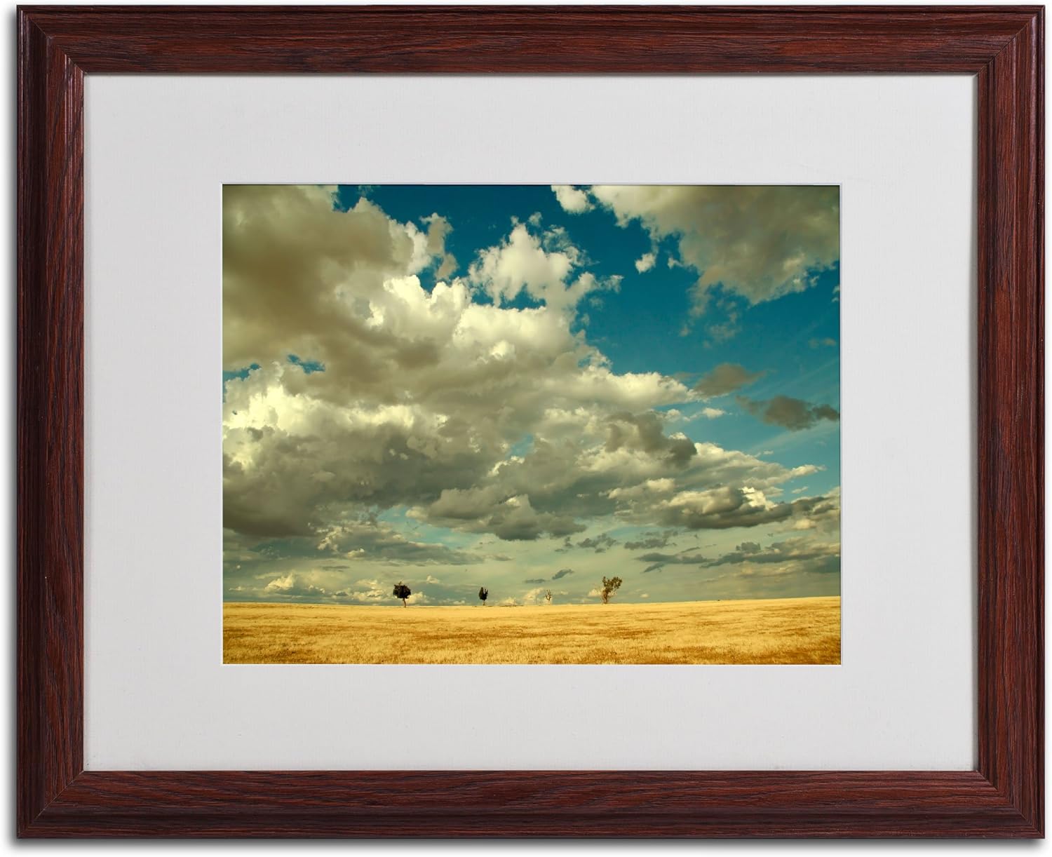 Four Musketeers Artwork by Beata Czyzowska Young, 16 by 20-Inch, Wood Frame Pack of 2