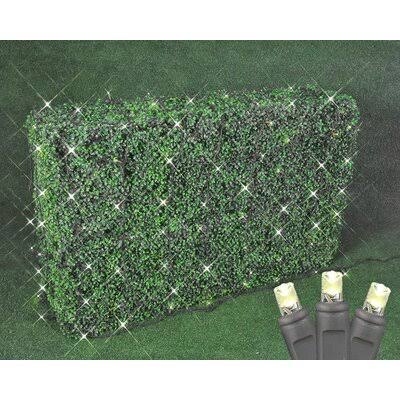 The Holiday Aisle 100 Light Commercial Grade Christmas LED Net Light Set, Warm White, Black WIRE, 4' x 6' The Holiday Aisle