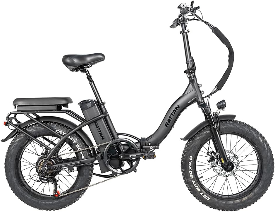 Rattan 48V 500W/750W Electric Bike for Adults 20 inch Folding Bikes 3.0/4.0 Fat Tire Bikes 13AH Removable Lithium-ion Battery E-Bikes 7 Speed Shifter Electric Bicycle High/Low Step Across ebikes