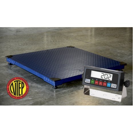 CS2010 2'x2' Legal for Trade Floor Scale w/ Indicator Package
