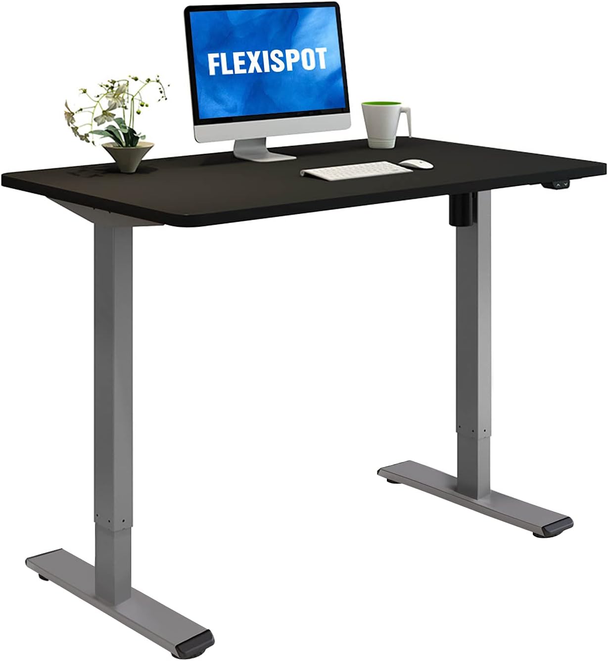 Flexispot EC1 Electric Height Adjustable Desk with Desktop, 48 x 30 Inches, Standing Desk Stand Up Desk Workstation Classic (Silver Frame + 48 in Black Top)