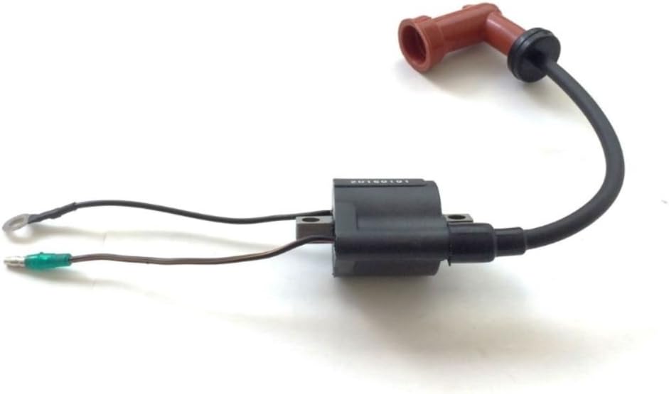 Boat Motor 6H4-85570-20 6H4-85570-21 Ignition Coil Assy for Yamaha Outboard 25HP - 50HP 2-stroke Boat Motor Engine Pack of 2