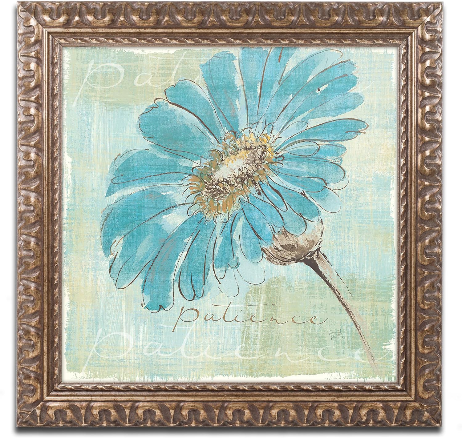 Spa Daisies II Artwork by Chris Paschke, 11 by 11-Inch, Gold Ornate Frame Pack of 2