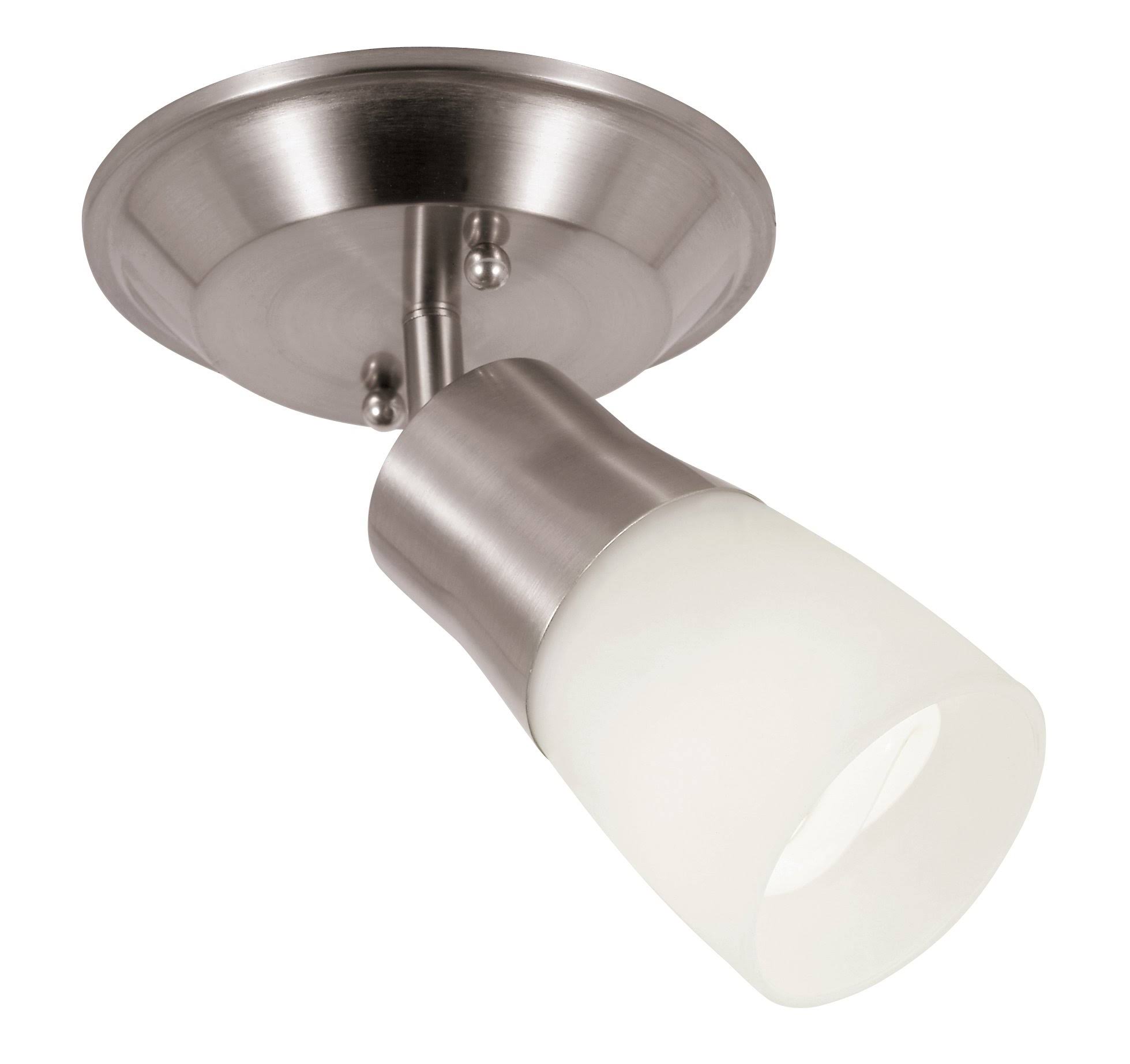 Trans Globe Lighting W-801 BN Track Light in Brushed Nickel