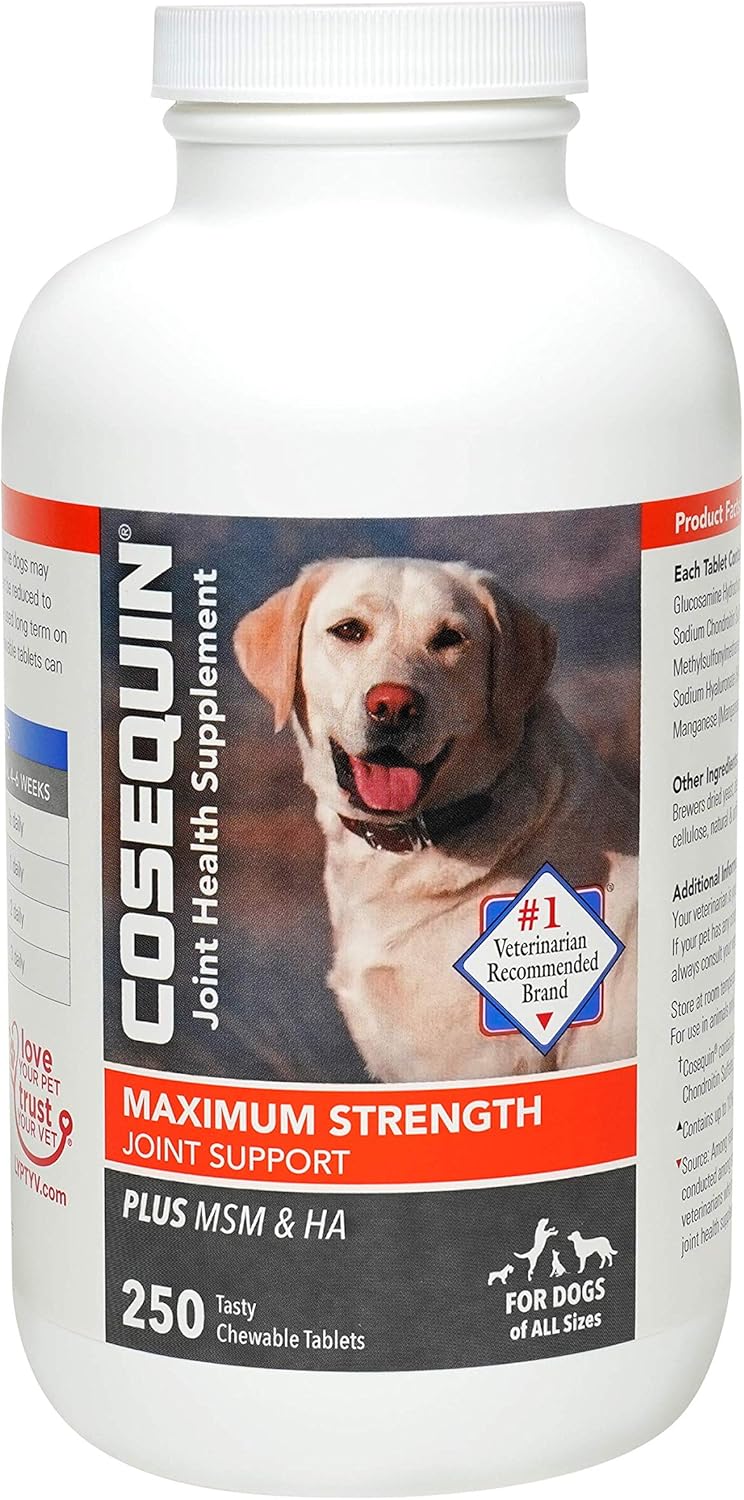 Cosequin Maximum Strength PLUS MSM PLUS Hyaluronic Acid (HA) Pack of 2