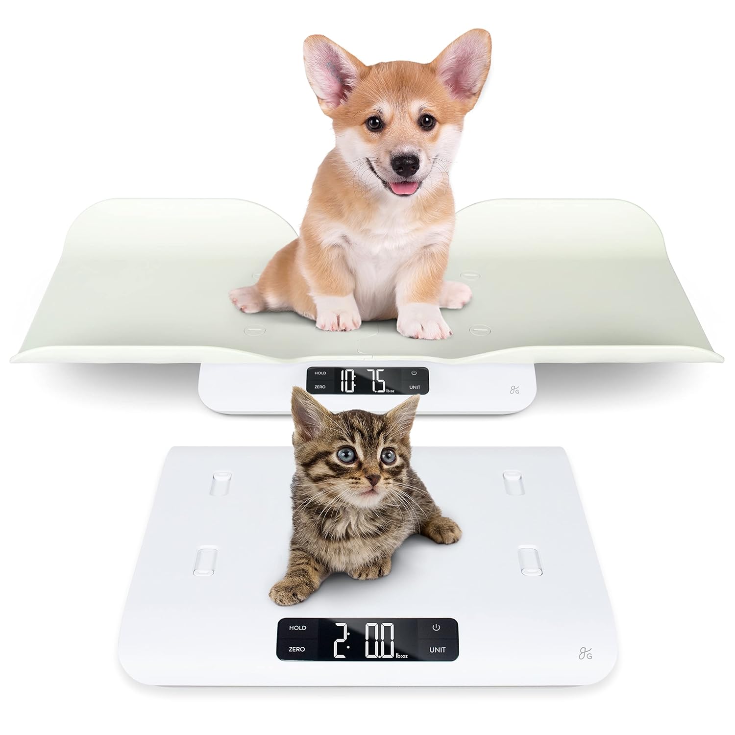 Greater Goods Digital Pet Scale - Accurately Weigh Your Kitten, Rabbit, or Puppy | with a Wiggle-Proof Algorithm, a Great Option as a Scale for Small Animals | Designed in St. Louis Pack of 2