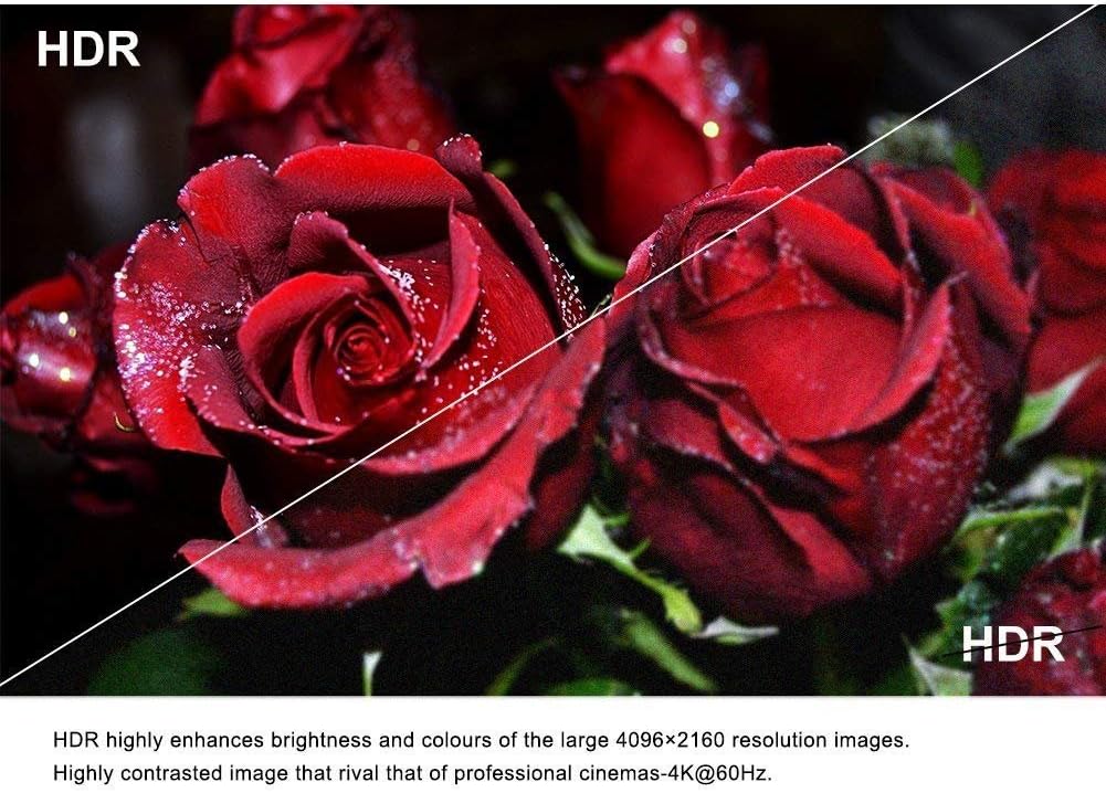 Fiber HDMI Cable 30ft 4K 60Hz, FURUI Fiber Optic HDMI 2.0b Cable HDR10, ARC, HDCP2.2, 3D, 18Gbps Subsampling 4:4:4/4:2:2/4:2:0 Slim and Flexible HDMI Fiber Optic Cable - 10M Pack of 2