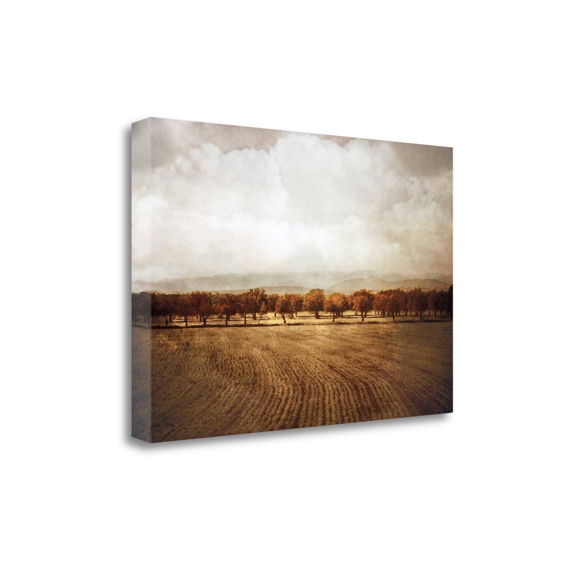 26x22 x 39x22 The Olive Grove by Heather Jacks Fine Art Giclee Print