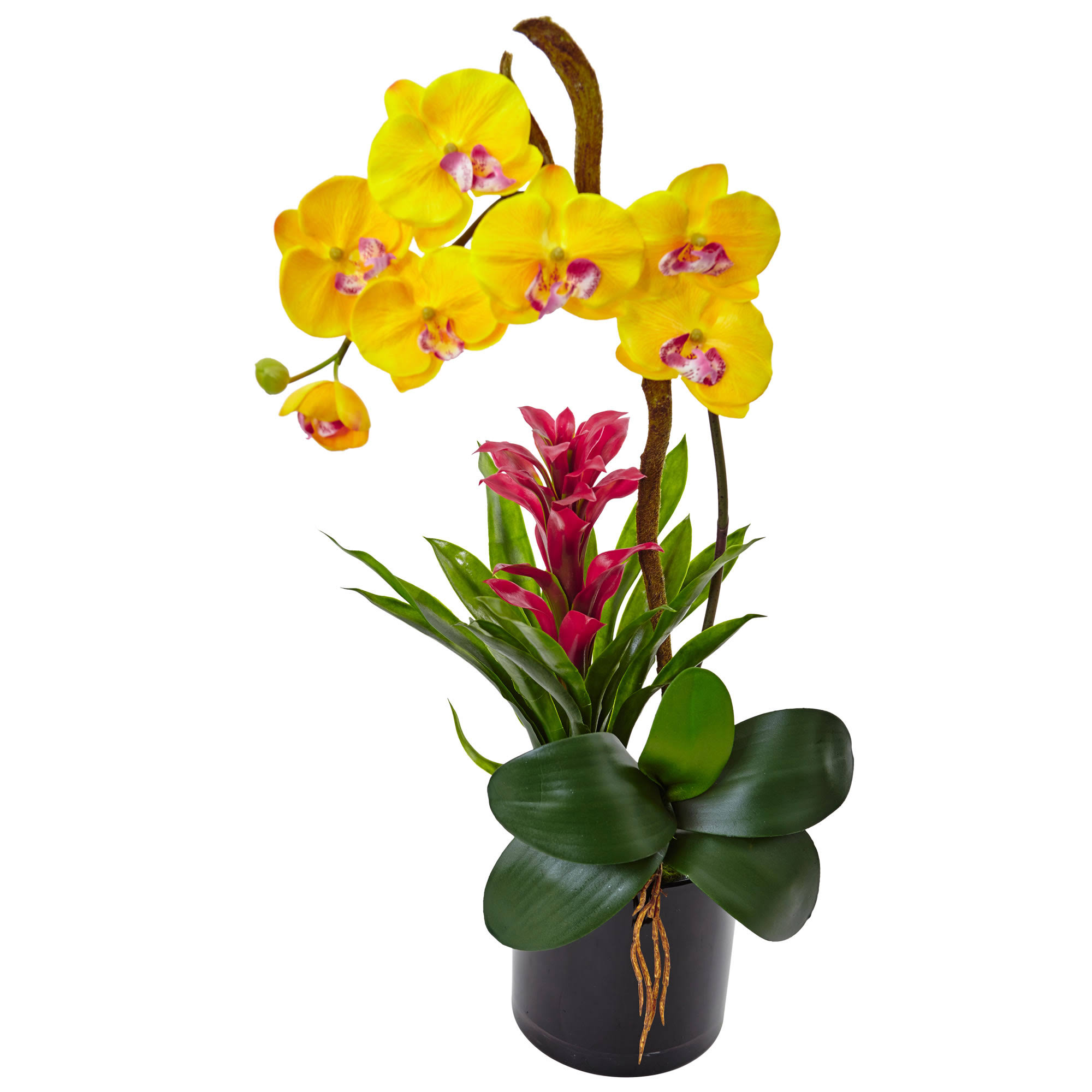 Nearly Natural Orchid and Bromeliad in Glossy Black Cylinder (Yellow)