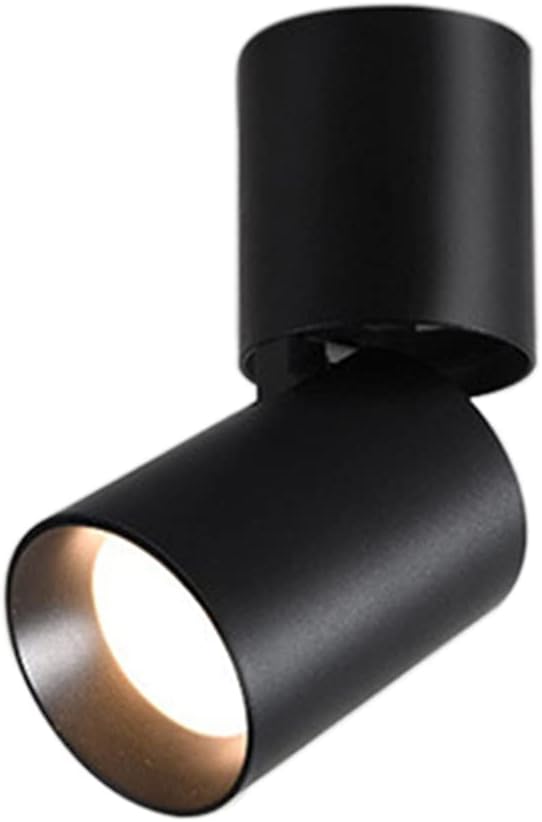 RTNLIT Ceiling Spotlight Surface Mounted, 355&deg;Adjustable Rotating Directional LED COB Ceiling Downlight Warm White 3000K for Indoor Lighting (Black)