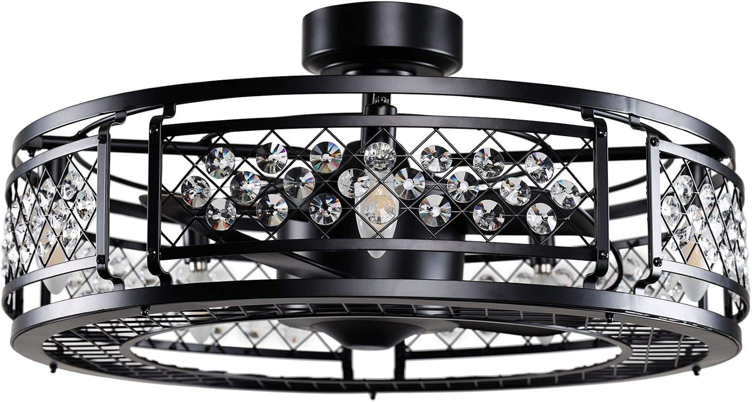 Ceiling Fan with Light Modern Small Ceiling Fan with Light and Remote CControl, 26 Inch, Black