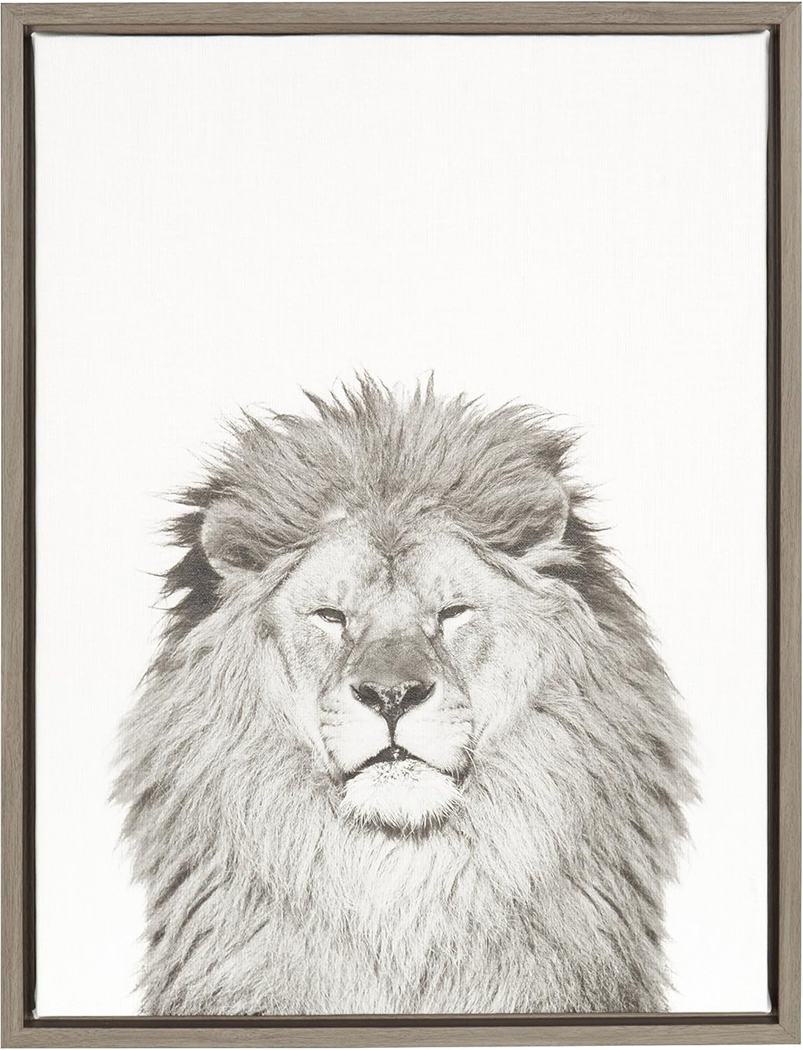 Kate and Laurel Sylvie Lion Framed Canvas by Simon Te Tai, 23x33, Gold Pack of 2